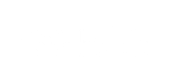 Punt Sistemes